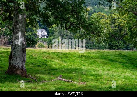 Old House In The Forest Near Village Betws-y-Coed In Snowdonia National Park In Wales, United Kingdom Stock Photo