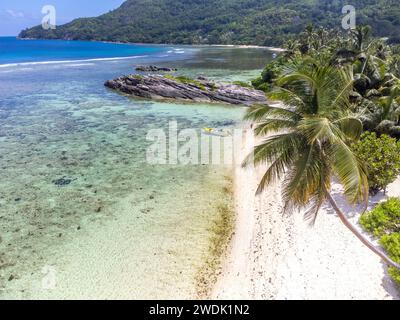 Aerial view of Anse Forbans shoreline on a sunny day. Mahe island, Seychelles Stock Photo