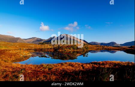 An Autumn day at Pine Island,  Derryclare Lake, Connemara, County Galway, Ireland Stock Photo