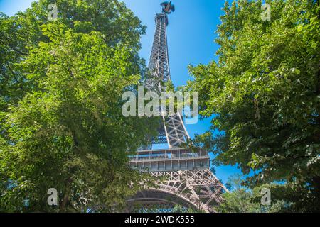 World famous Eiffel tower seen through green trees. Paris, France Stock Photo