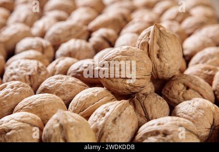 Group of walnuts on wooden background Stock Photo