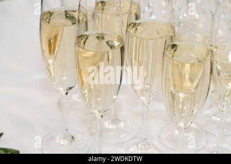 Augsburg, Bavaria, Germany January 19, 2024: Champagne glasses filled with sparkling wine on a white tablecloth at an event *** Sektgläser bei einer Veranstaltung gefüllt mit Sekt auf weißer Tischdecke Stock Photo