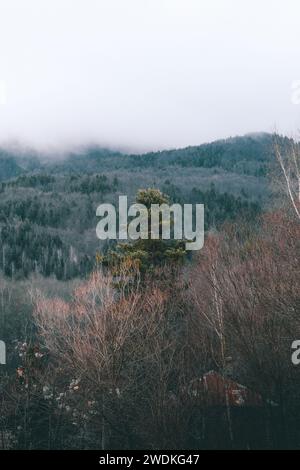 Fog rolling down the mountains in above the village of Gudevitsa, Bulgaria. Stock Photo