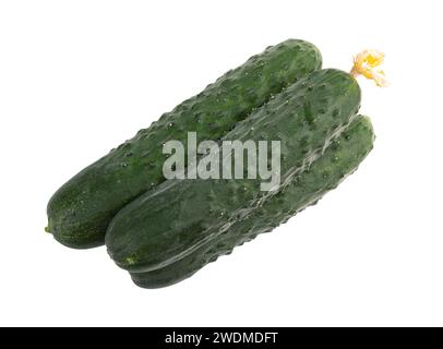 pile of fresh raw cucumbers isolated on white background with clipping path, organic vegetables Stock Photo