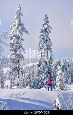 nice and active senior woman hiking with snow shoes in deep powder snow in the Hochhaedrich area of Bregenz Forest in Vorarlberg, Austria Stock Photo