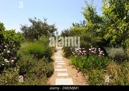Pathway through landscaped Mediterranean garden in Spring, mixed flowerbeds including colourful tall bearded irises and rock roses Stock Photo