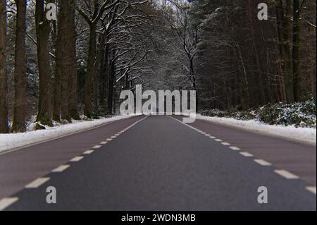 Horizontal shot of a long empty road through snowy forest. Low angle view over an asphalt road with trees covered in snow. Dutch winter landscape Stock Photo