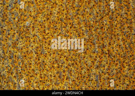 A flat completely rusted iron panel shot close up in landscape format for use as a background or book cover Stock Photo