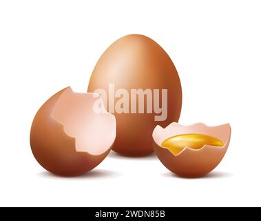 realistic vector icon illustration. Whole organic chicken egg and two halfs of broken egg with egg yolk inside. Isolated on white background. Stock Vector
