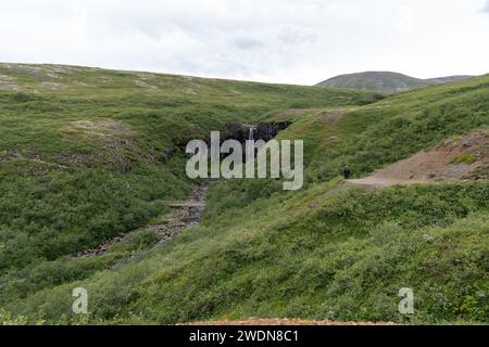 Distant view of the Svartifoss waterfall from the hiking trail. Iceland Stock Photo