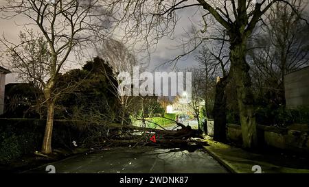 A tree branch fallen on Notting Hill road in south Belfast during Storm Isha. A Status Red wind warning has been issued for counties Donegal, Galway and Mayo as authorities warn people to take care ahead of Storm Isha's arrival. Picture date: Sunday January 21, 2024. Stock Photo