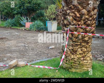 Reconstruction of the bike path. Replacing tiles on a bike path among palm trees. Infrastructure of the resort town. Repair. Barrier tape. Stock Photo