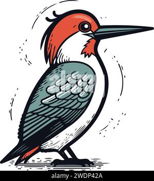 Red bellied Woodpecker. Hand drawn vector illustration. Stock Vector