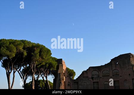 Blue sky above roman ruins and Italian stone pine trees inside the roman forum – Rome, Italy – October 31 2022 Stock Photo