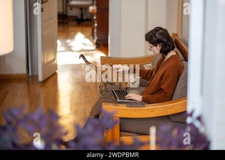 Cat wants attention from woman freelancer who working at home on laptop. Pet therapy, antistress. Stock Photo