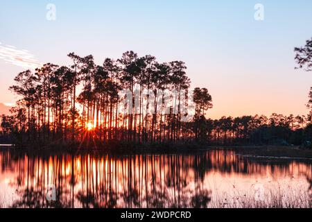 Long Pine Key Lake Everglades Sunset in Florida Stock Photo