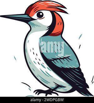 Red bellied Woodpecker  Dendrocopos martius . Vector illustration. Stock Vector