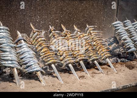 Traditional spanish grilled sardines cooked on skewers. Andalusia, Spain Stock Photo