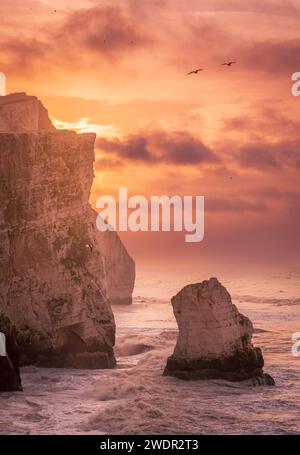 Storm Isha brewing at Seaford head on the east Sussex coast during high tide and sunrise south east England UK Stock Photo