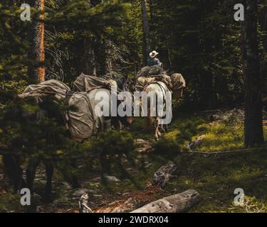Cowboy leads his string of Horses through the Wyoming Wilderness Stock Photo