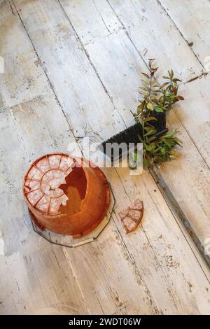 An upturned orange plastic bucket with an enormous hole in its bottom and a broom with greenery growing round it on a white washed floor Stock Photo
