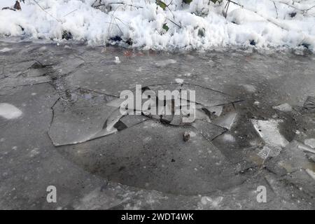 Cracked ice on a frozen puddle in the woods in winter. Stock Photo