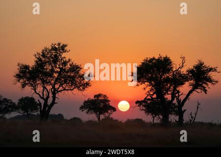 Sunset over the Okavango Delta, Botswana, Africa Stock Photo