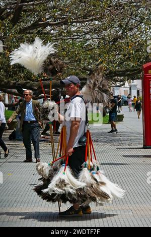 Buenos Aires, Argentina, Street seller with his stock of Feather dusters consisting of  large Rhea feathers. Stock Photo