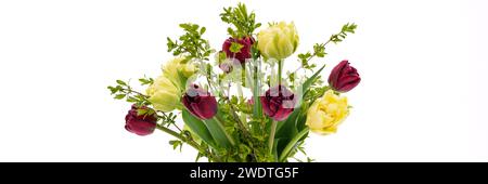 Mothers day flowers. Elegant mixed tulips spring bouquet in white vase on white banner with copy space. Spring tulips. Tulips bouquet. Stock Photo