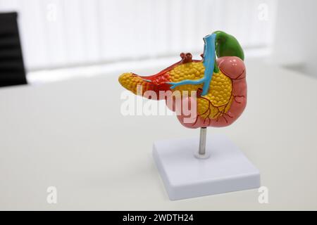 anatomical illustrations of human organs. High quality photo Stock Photo
