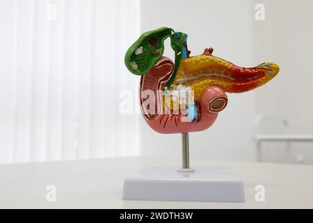 anatomical illustrations of human organs. High quality photo Stock Photo