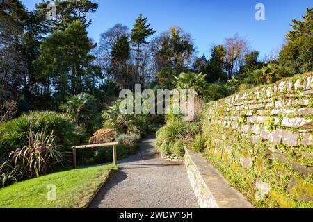Sunny Winter's Day in Trebah Garden in Cornwall Stock Photo