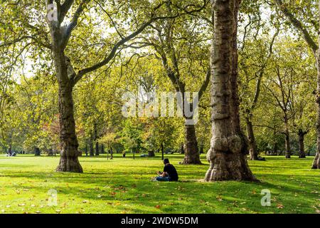 A man sitting and relaxing under a tree in a meadow in Kensington Gardens, London, United Kingdom Stock Photo