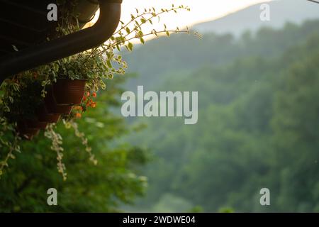 Porch of a wooden house in the forest on the river bank Stock Photo - Alamy