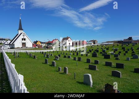Norway, Finnmark, coastal village of Bugøynes, the plant rarity northern Jacob&#39;s ladder (Polemonium boreale) only grows here in the cemetery and i Stock Photo
