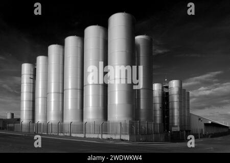 The Associated British Ports silos at Goole docks, Goole town, East Riding of Yorkshire, England. Stock Photo