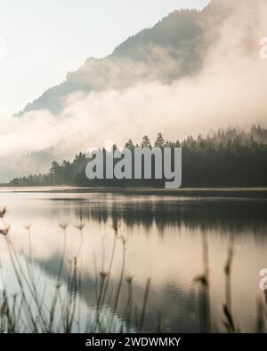 Foggy sunrise atmosphere at Plansee, Reutte, Austria Stock Photo