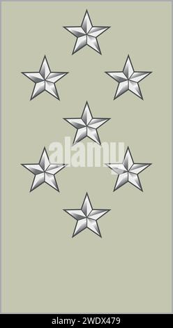 Shoulder pad military officer insignia of the France GÉNÉRAL D'ARMÉE (ARMY GENERAL) Stock Vector