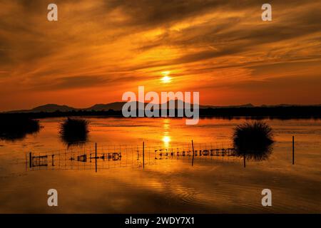 Sunset at the Delta of Kalamas ('Thyamis') river, Thesprotia, Epirus, Greece. Stock Photo