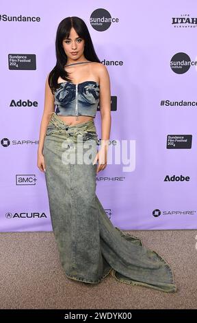 Park City, USA. 22nd Jan, 2024. attends 'Rob Peace' Premiere during the 2024 Sundance Film Festival at Eccles Theatre on January 22, 2024 in Park City, Utah. Photo: C Flanigan/imageSPACE/Sipa USA Credit: Sipa USA/Alamy Live News Stock Photo