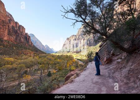 A tourist takes a pause from hiking to enjoy the view. She gazes on the nearby mountain peaks, and at the virgin river flowing through the valley belo Stock Photo