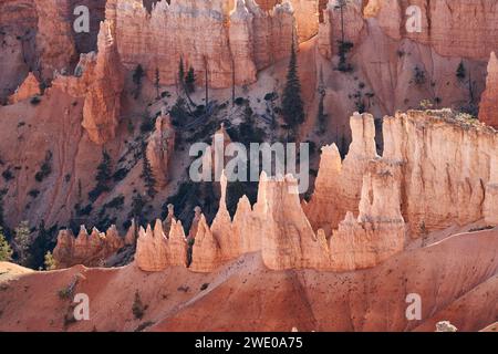 Unique rock formations called hoodos, beautifully glowing in the afternoon light. Stock Photo