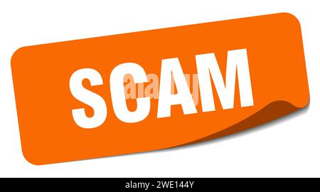 scam sticker. scam rectangular label isolated on white background Stock Vector