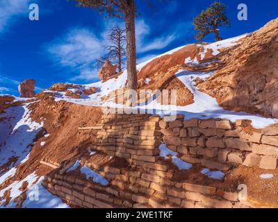 Queen's Garden Trail, Bryce Amphitheater, winter, Bryce Canyon National Park, Utah. Stock Photo