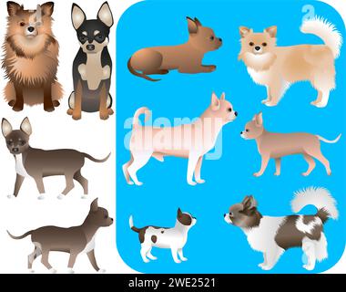 Collection of chihuahua dog breed in colour image Stock Vector