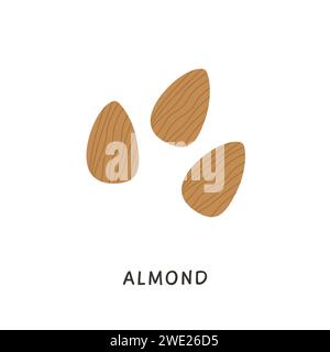 Whole almonds nuts without shell. Simple colored fruits icon. Delicious edible nut hand drawn in minimalistic flat style. Natural vector illustration Stock Vector