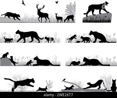 Silhouettes of cougars also named pumas or mountain lions and its cubs in wildlife and outdoors Stock Vector