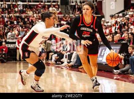 Stanford, CA, USA. 21st Jan, 2024. A. Oregon State guard Talia von Oelhoffen (22)brings the ball up court during the NCAA Women's Basketball game between Oregon State Beavers and the Stanford Cardinal. Stanford beat Oregon State 65-56, as Tara VanDerveer becomes NCAA winningest basketball coach with 1,203 wins at Maples Pavilion Stanford, CA. Thurman James /CSM/Alamy Live News Stock Photo