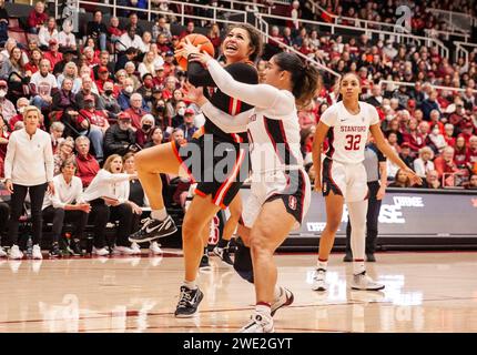 Stanford, CA, USA. 21st Jan, 2024. A. Oregon State guard Talia von Oelhoffen (22)goes to the hoop during the NCAA Women's Basketball game between Oregon State Beavers and the Stanford Cardinal. Stanford beat Oregon State 65-56, as Tara VanDerveer becomes NCAA winningest basketball coach with 1,203 wins at Maples Pavilion Stanford, CA. Thurman James /CSM/Alamy Live News Stock Photo