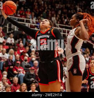 Stanford, CA, USA. 21st Jan, 2024. A. Oregon State guard Talia von Oelhoffen (22)goes to the hoop during the NCAA Women's Basketball game between Oregon State Beavers and the Stanford Cardinal. Stanford beat Oregon State 65-56, as Tara VanDerveer becomes NCAA winningest basketball coach with 1,203 wins at Maples Pavilion Stanford, CA. Thurman James /CSM/Alamy Live News Stock Photo